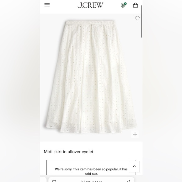 NWT Jcrew midi eyelet skirt size 8 - Picture 2 of 3
